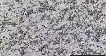 海南 芙蓉白（芝麻白大花）火烧面