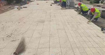 海南黄金麻荔枝面地铺案例