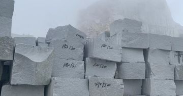 海南芝麻白花岗石