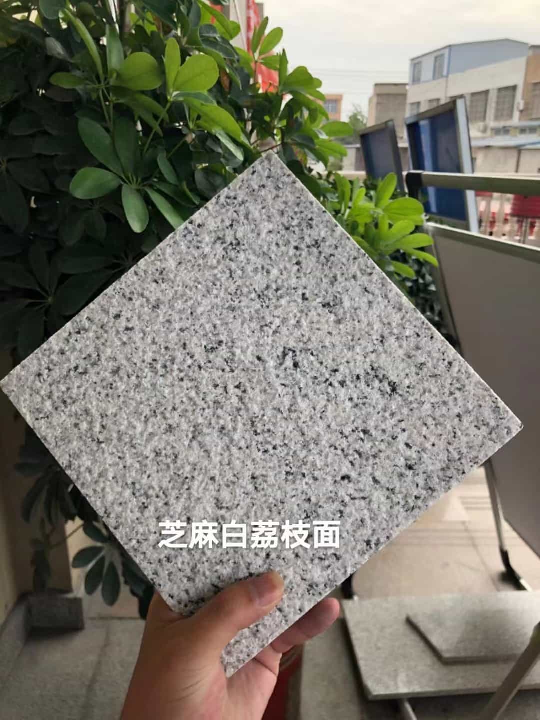 海南 芝麻白荔枝面干挂