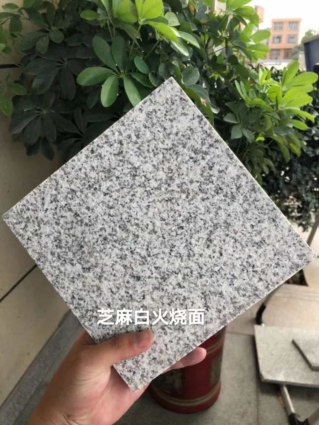 海南芝麻白火烧面地铺