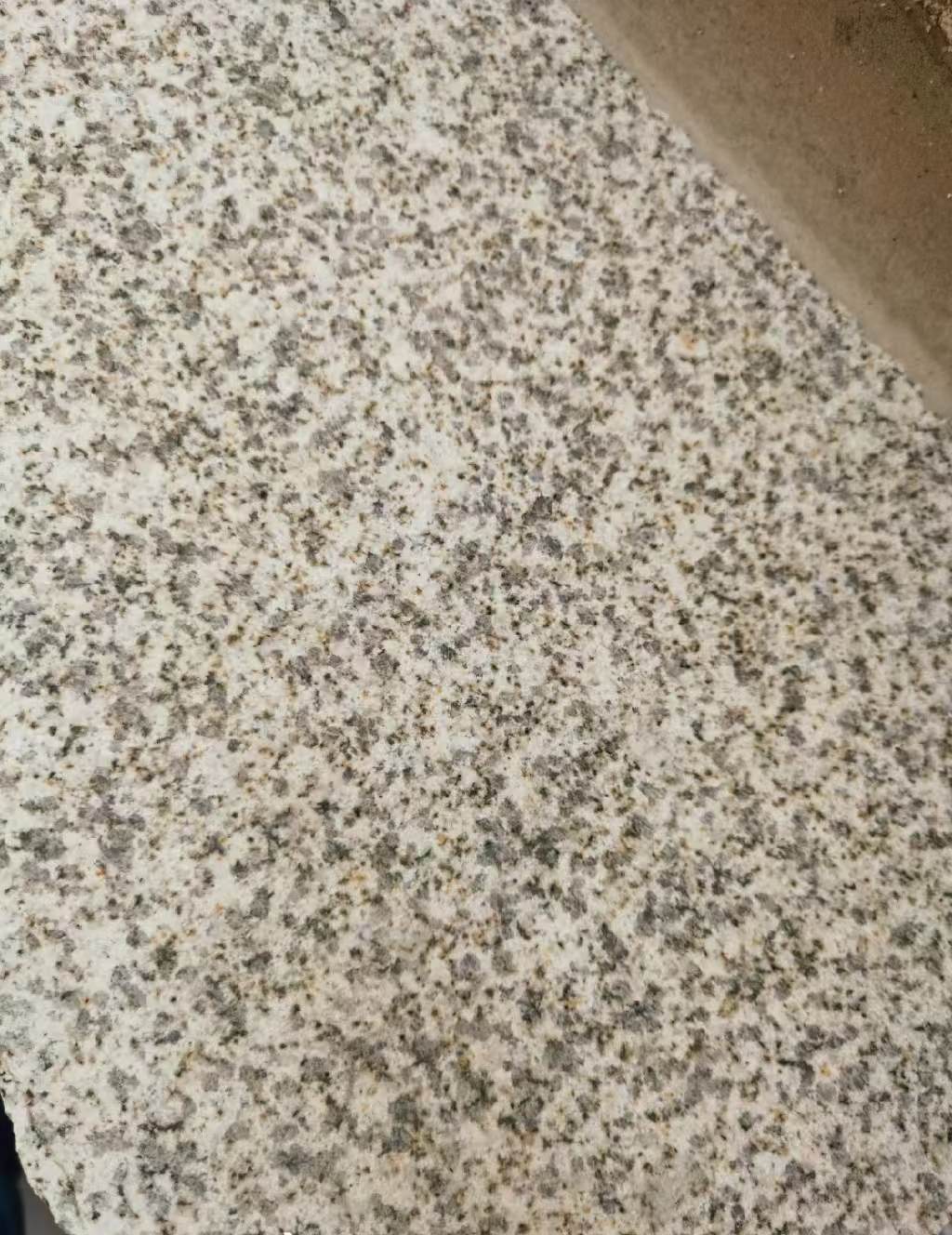 海南 黄金麻中黄光面