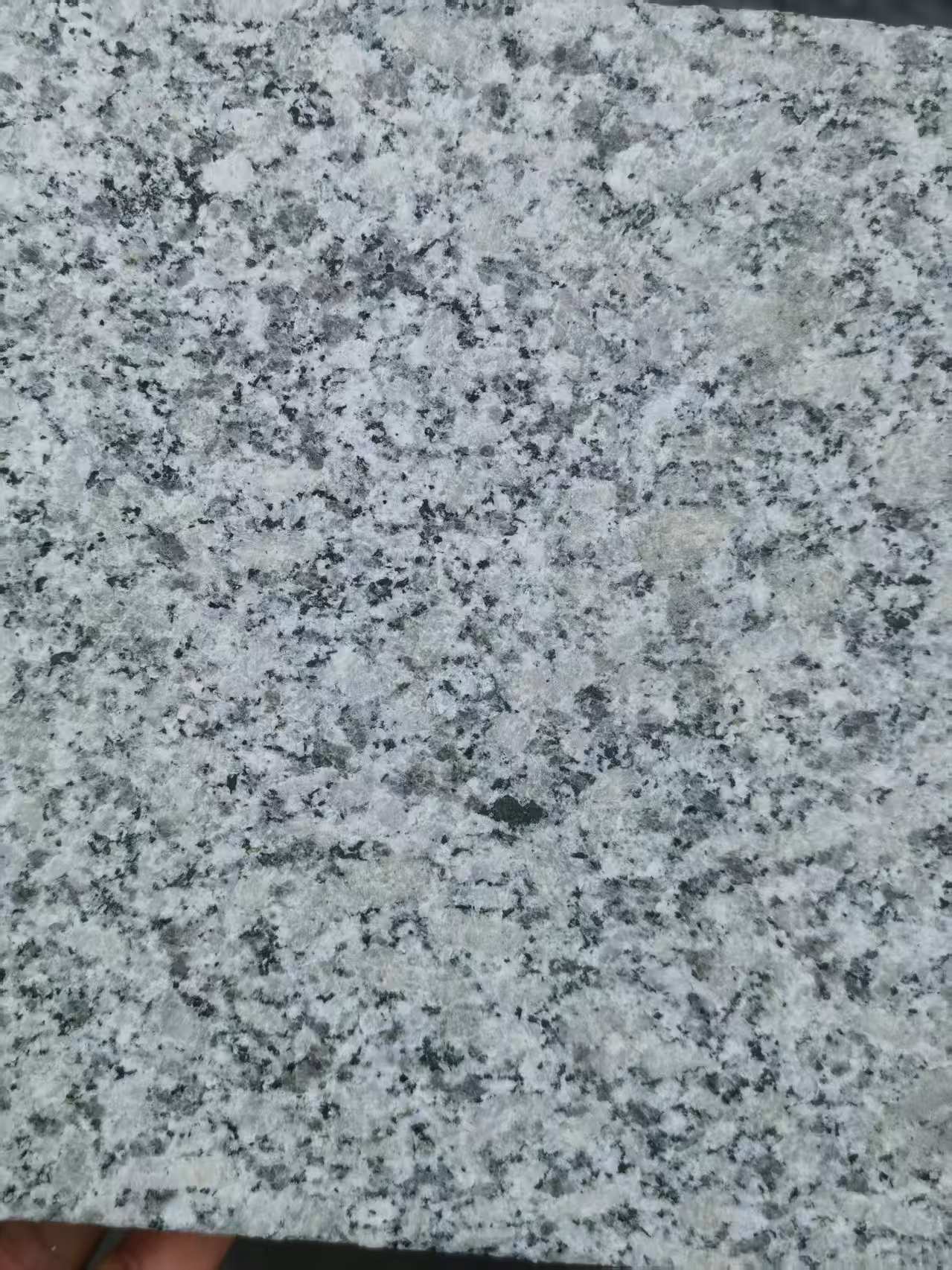 海南 芙蓉白火烧面